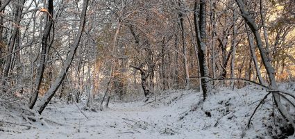 Uitzicht naar het westen