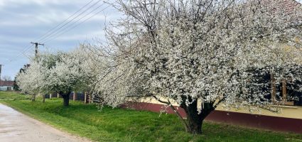 Zonsondergang rond de equinox